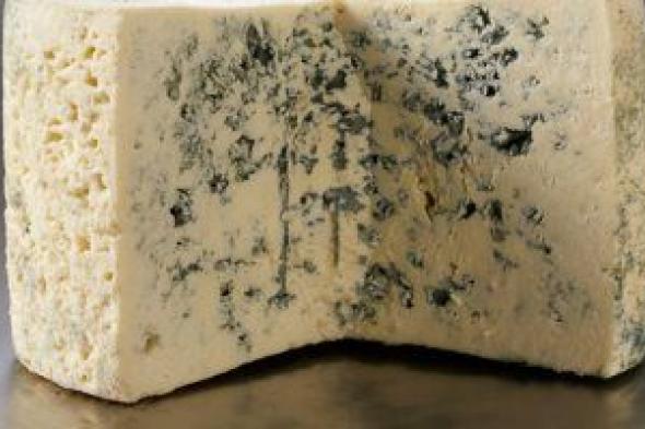 الجبنة الريكفورد.. هل العفن الموجود بها مفيد لصحتك؟