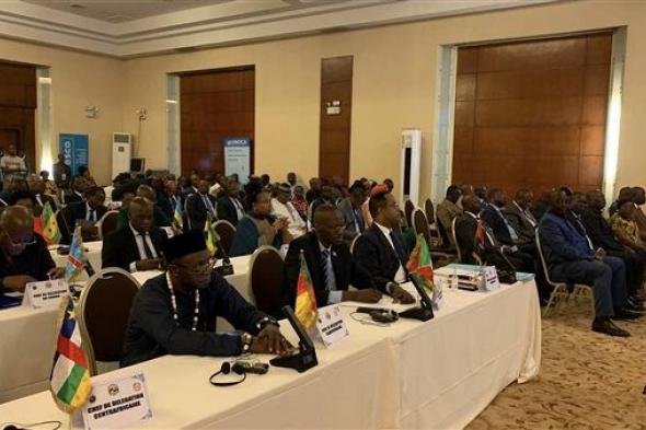 وزراء الاتصالات في إفريقيا الوسطى يعقدون اجتماعًا مع الإيكواس