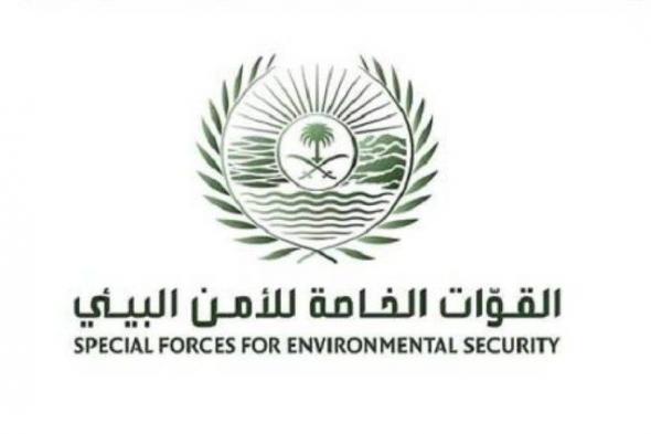 السعودية | القوات الخاصة للأمن البيئي تضبط مخالفًا لنظام البيئة لارتكابه مخالفة التخييم دون ترخيص بمحمية الملك عبدالعزيز الملكية