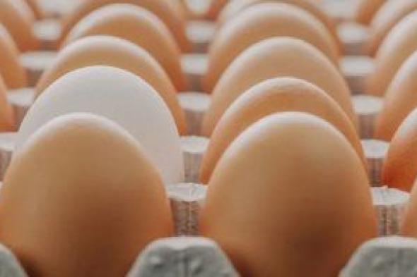 10 أشياء تجنب البيض إذا ظهرت عليه.. تعرف عليها