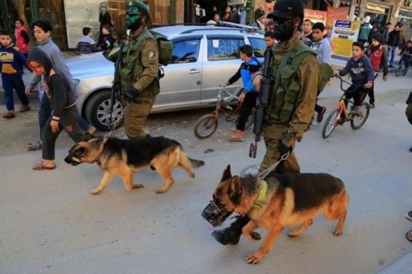 كيف فشلت كلاب الاحتلال المدربة في مواجهة "كلاب" المقاومة الفلسطينية بغزة؟