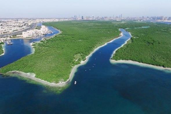 خبراء دوليون: الإمارات رائدة في مواجهة التحديات البيئية