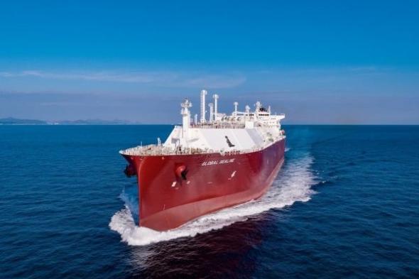 ما أهمية مضيق باب المندب لصادرات الغاز الطبيعي من دول الخليج؟