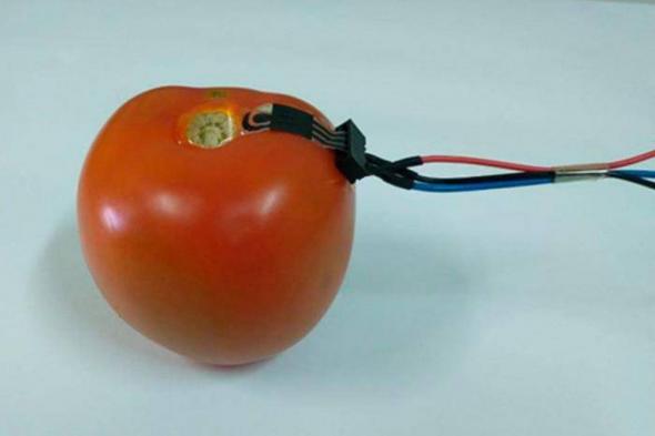 الامارات | ابتكار جهاز يراقب مستويات المبيدات في الفاكهة والخضراوات