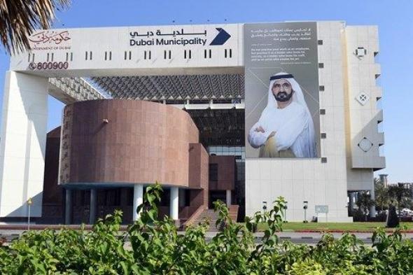 بلدية دبي تحصل على الاعتماد الدولي من المعهد العالمي لإدارة الابتكار