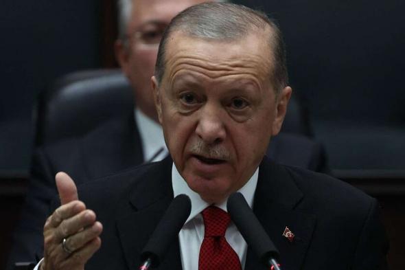 أردوغان يدعو إلى الوحدة بين الدول الإسلامية ضد هجوم إسرائيل على غزة