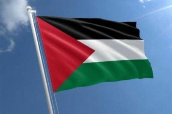 فلسطين.. و«حل الدولتين»