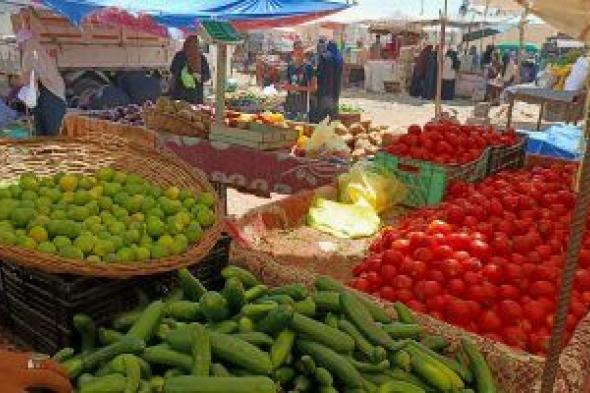 اتحاد الغرف التجارية: استقرار أسعار الخضراوات فى السوق المحلى