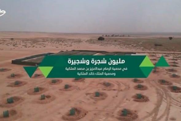 أكثر من مليون شجرة وشجيرة.. زرعتها هيئة تطوير محمية الإمام عبدالعزيز بن محمد الملكية