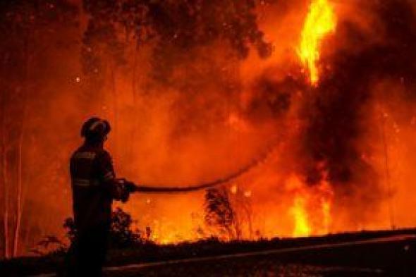 تكنولوجيا: كيف يستخدم العلماء الذكاء الاصطناعى للتنبؤ بحرائق الغابات؟