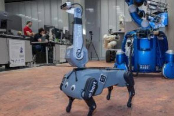تكنولوجيا: تعرف على "بيرت" الروبوت الشبيه بالكلب أثناء محاكاة مهمة المريخ