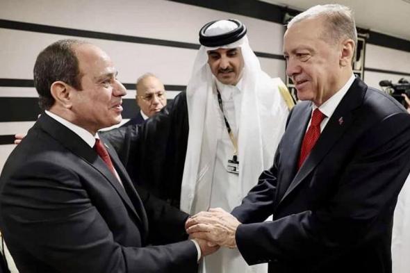 لعقد قمة مع السيسي.. وسائل إعلام تكشف موعد زيارة أردوغان إلى مصر