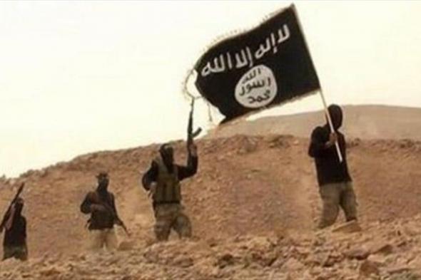 الأمم المتحدة قلقة من تمدّد "داعش" بإفريقيا.. ماذا عن العراق؟