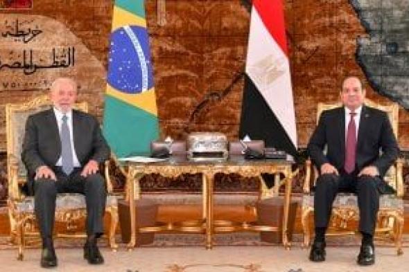 فى عام مئوية العلاقات.. دراسة تكشف مجالات التعاون بين مصر والبرازيل