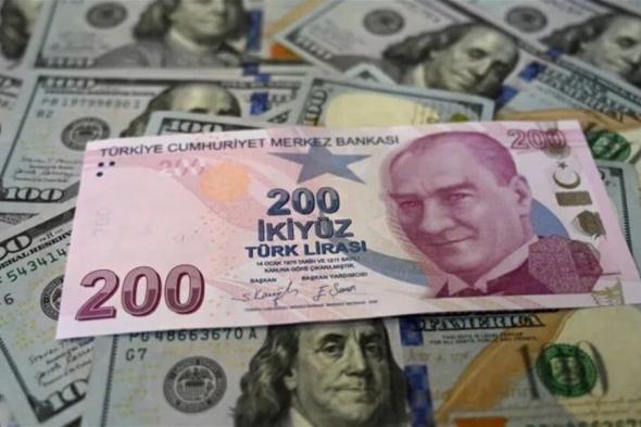 الليرة التركية تسجل هبوطا قياسيا امام الدولار