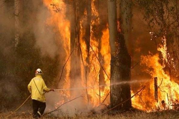 إجلاء الآلاف جراء حريق غابات جنوب أستراليا
