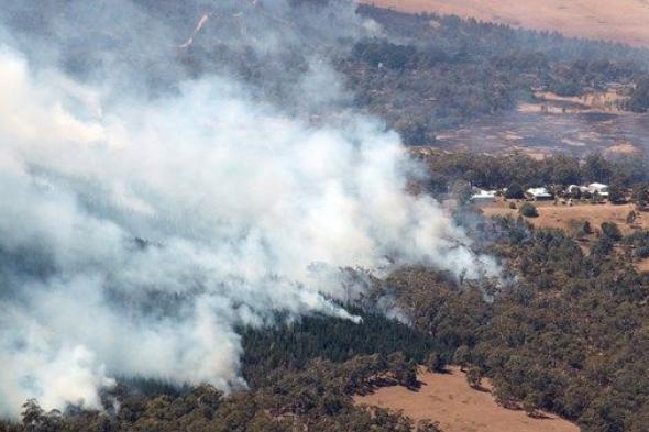 أستراليا.. خروج حريق غابات عن السيطرة