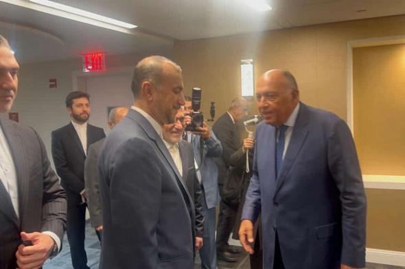 مصر وإيران تجددان رفضهما لأية مخططات تستهدف تهجير الفلسطينيين وتصفية القضية
