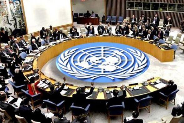 مجلس الأمن الدولي يعقد جلسة حول أوضاع الغذاء بقطاع غزة