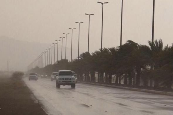 الامارات | "الطوارئ والأزمات" تؤكد جاهزية الدولة لمواجهة المنخفض الجوي‎