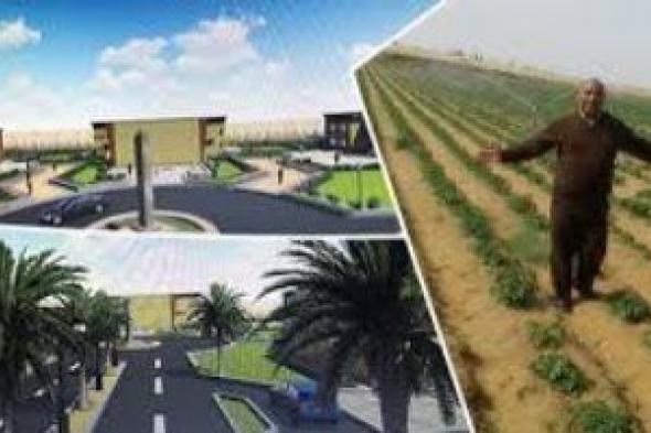 مجلس الوزراء يستعرض تقرير جهود الجهاز الوطنى لتنمية شبه جزيرة سيناء