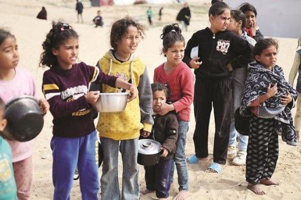 الأمم المتحدة: المجاعة في قطاع غزة شبه حتمية