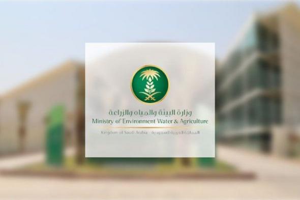 السعودية | “البيئة “: أكثر من 10 آلاف جولة رقابية على أسواق النفع العام والمسالخ خلال 10 أيام للتأكد وفرة السلع والمنتجات الغذائية