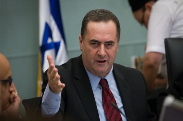 وزير خارجية إسرائيل يطالب مجلس الأمن بالضغط على حماس لتحرير الأسرى