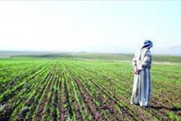 العراق.. نصف الأراضي الصالحة للزراعة خرجت عن الخدمة بسبب الجفاف