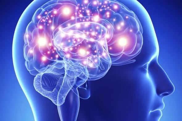 الامارات | دراسة جديدة تكشف عن روابط مبتكرة بين العاطفة والإدراك في الدماغ البشري