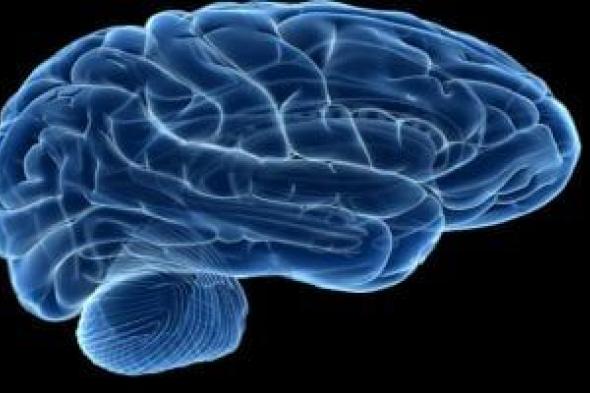7 خطوات لتقليل خطر الإصابة بالسكتة الدماغية فى مرحلة الشباب