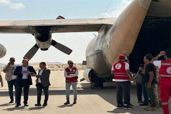 مطار العريش الدولي يستقبل طائرتي مساعدات إماراتيتين لصالح قطاع غزة
