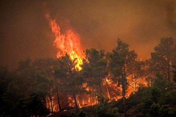 حرائق غابات تجتاح مناطق في الصين