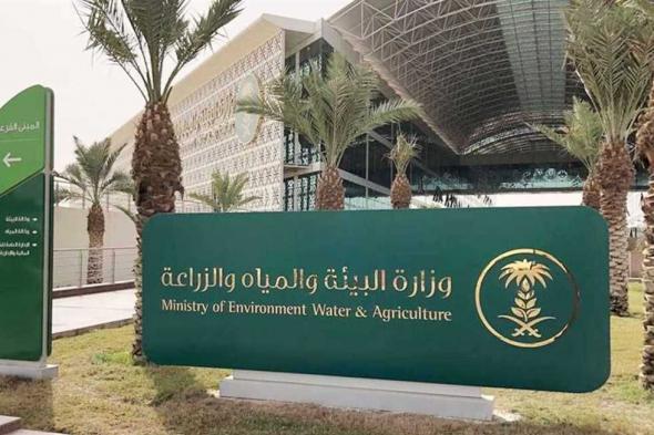“بيئة الباحة” تطرح 3 مواقع للاستثمار الزراعي بالمنطقة