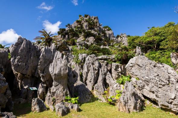 اليابان | «يانبارو»... موقع أثري طبيعي بشمال أوكيناوا