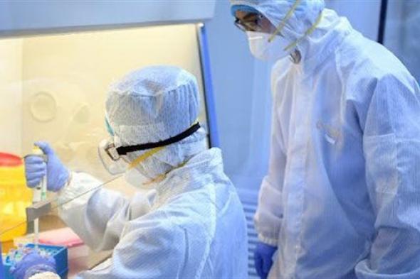 باحثون صينيون يستخدمون غددا ليمفاوية مجمدة لعلاج الأورام