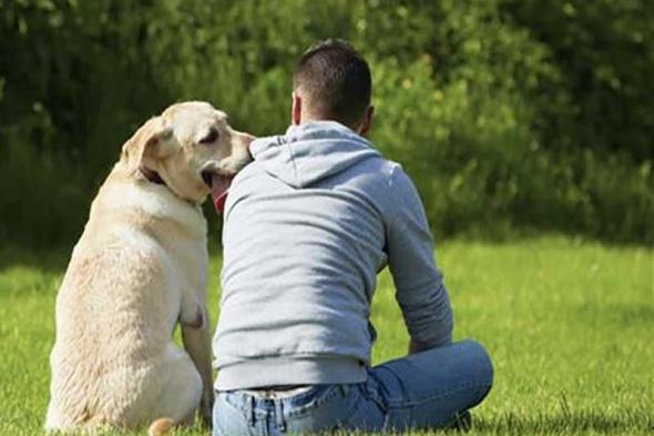 الامارات | دراسة.. الكلاب تفهم كلام البشر أكثر مما نعتقد