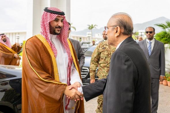 السعودية | بتوجيه من القيادة.. وزير الدفاع يلتقي رئيس الجمهورية الباكستانية ويحضر مراسم الاحتفال بيوم باكستان