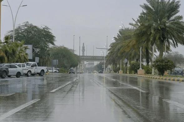 السعودية | أمطارٌ غزيرة ورياحٌ شديدة.. “الحصيني”: هطولات تلف الخليج 365 والسحب عملاقة