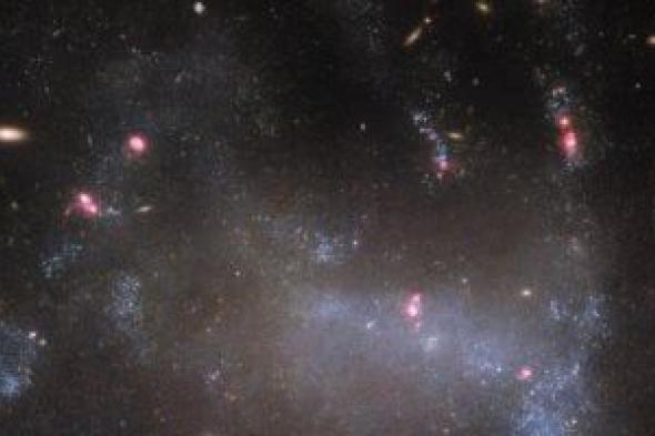 تكنولوجيا: ما هى مجرة العنكبوت المخيفة التى صورها تلسكوب هابل؟ تقرير يجيب