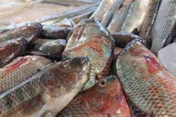 أسعار الأسماك والمأكولات البحرية في سوق العبور الثلاثاء