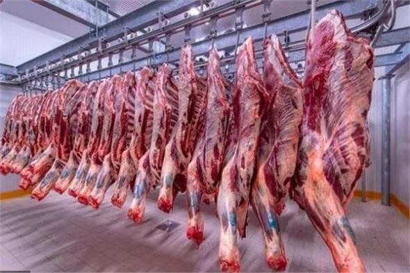 تخفيف العبء عن كاهل المواطنين .. الزراعة تطرح اللحوم في منافذها بـ270 جنيها