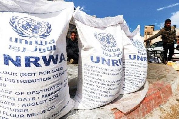 الأمم المتحدة: لا غنى عن «الأونروا» للاستقرار الإقليمي