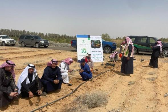القريات.. زراعة 300 شتلة في فعالية يوم "مبادرة السعودية الخضراء"
