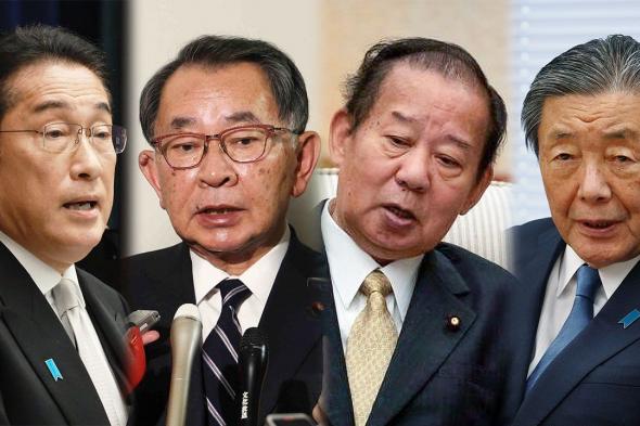 اليابان | معضلة حل فصائل الحزب الليبرالي الديمقراطي