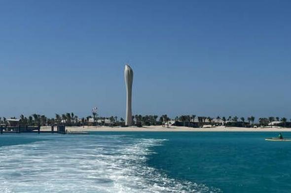الخليج اليوم .. هل توجد حيتان قاتلة في المياه البحرية السعودية؟ (فيديو)