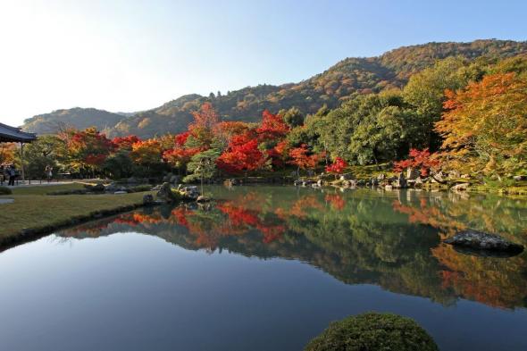 اليابان | زيارة إلى معبد تينريوجي وحديقته الرائعة في كيوتو