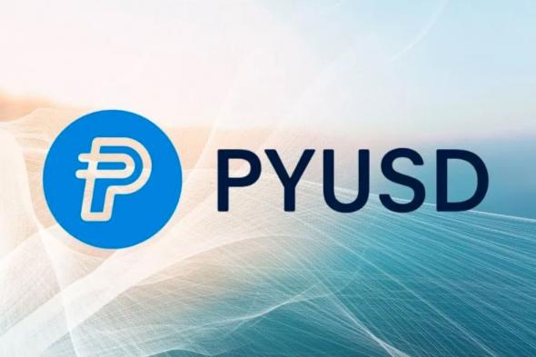 شركة بايبال تتيح تحويل العملة الرقمية المستقرة PYUSD في المعاملات الخارجية