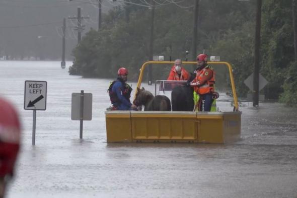 إنقاذ أكثر من 150 شخصًا من الفيضانات شرق أستراليا
