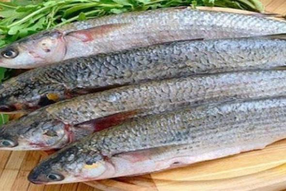 بعد شهر صيام.. هذا ما يحدث لجسمك إذا تناولت الفسيخ أول يوم العيد